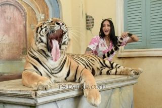 trans girl sabrinahot 7952003