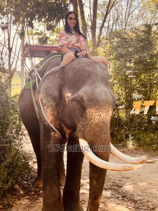 trans girl sabrinahot 7952027