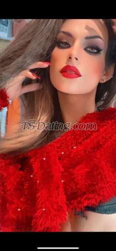 trans girl sanfoor 8649882