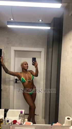 trans girl sarahmulata 3400445