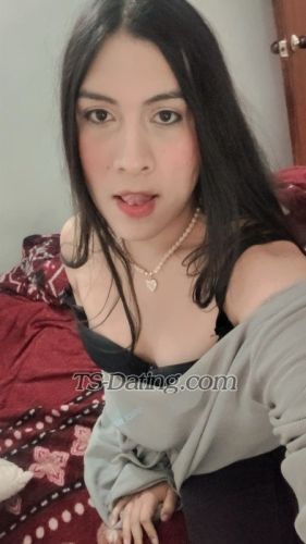 trans girl sashahot123 7423963