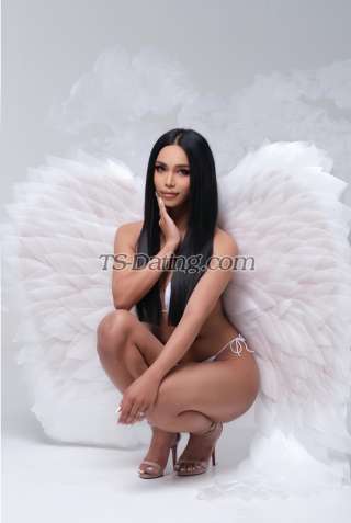 trans girl sexynarats 4040911