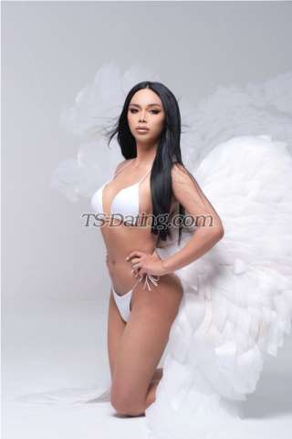 trans girl sexynarats 4041026