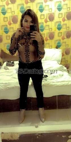 trans girl shanayaroy929 5319395