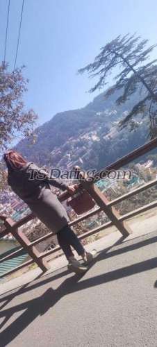 trans girl shanayaroy929 5319523