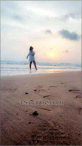 trans girl shanayaroy929 9638211