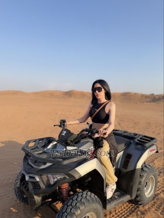 trans girl shantal17 4503052