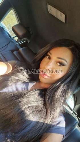 trans girl trans girlelian 9584566