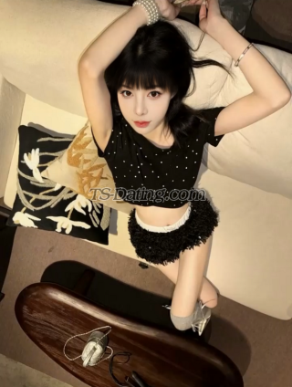 trans girl sheningtutan 5380742 trans girl sheningtutan 5380742