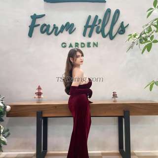 trans girl stefanidyosa 2634139