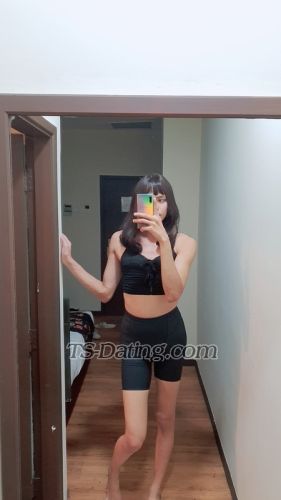 trans girl stephy123 8229784 trans girl stephy123 8229784