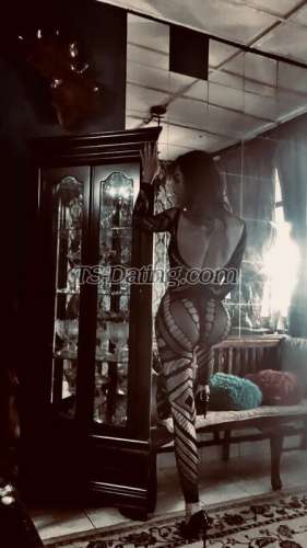 trans girl suriani 7658435