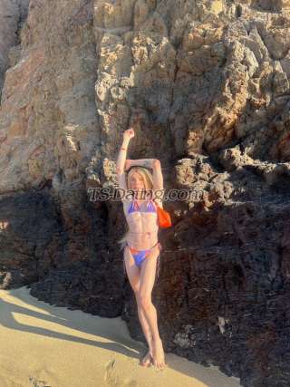 trans girl suziexxl 3047544