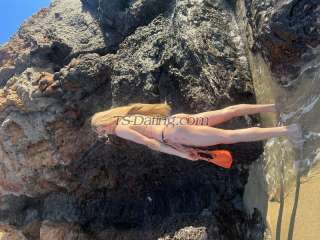 trans girl suziexxl 3047639