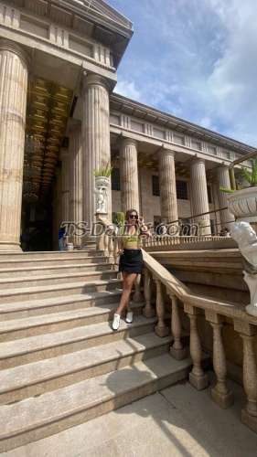 trans girl sweetdolly 3100800