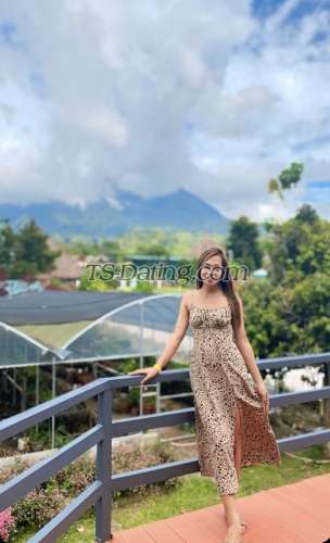 trans girl sweetdolly 3101045