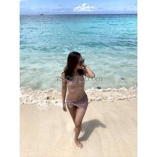 trans girl sweetdolly 3101219