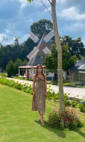 trans girl sweetdolly 8608326