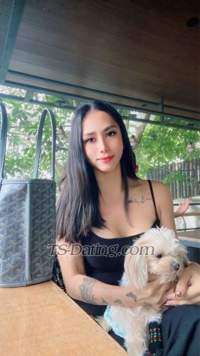 trans girl sweetricaxx 2193476