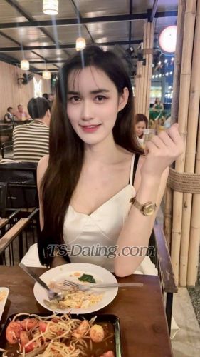 trans girl TA1160 8845157