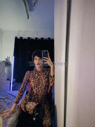 trans girl THICKcockTS 3868227 trans girl THICKcockTS 3868227