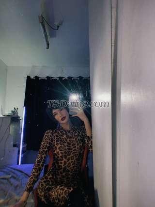 trans girl THICKcockTS 3868279 trans girl THICKcockTS 3868279