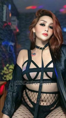 trans girl TRANSDOMINANT 3984379 trans girl TRANSDOMINANT 3984379