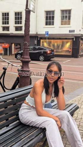 trans girl TRANSSALEEN 1913038