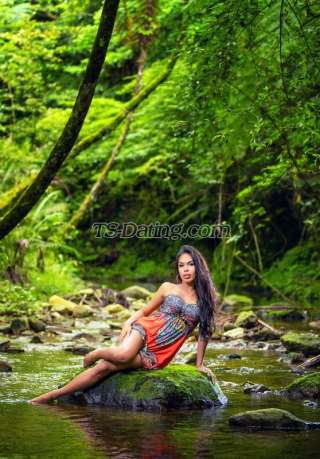 trans girl TS Amber 7828531