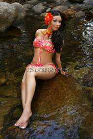 TS69KIMBERLY Omagh Transex I HAVE TOO SEXCAM AND HOT CONTENT VIDEOS PRIVATE
PAYPAL 
BANCOLOMBIA 
revolut 
Nequi
Bank transfer
DAVIPLATA
Hello, good day all of you... thank you very much for visiting my profile... my name is TOPTS KIMBERLY VERSATIL... I am 36 years old and I come from the country of beautiful Latin women COLOMBIA... I AM AN AUTHENTIC TRANS Super active dominant and also passive... I am tall and with a figure so you can enjoy every inch of my body including the 18 centimeters of cock that I have... always hard and very milky so you can enjoy a true bsexual with an incredible woman's body and my toy always hard to give you all the pleasure you deserve... give me the pleasure of serving you and you will know what a good transsexual experience is... I am an expert in beginners... very professional... clean and educated with good treatment and a pleasant experience... .. I am very accommodating to everything you expect from your experience. since apart from it being my job I also enjoy it since I am very fluid and insatiable in sex, I am very ardent and nymphomaniac in bed without taboos .. I like to kiss with tongue that we both enjoy this encounter .. I do oral without a condom and deep throat .. . I lick your balls and I also suck your ass very deep since I like this a lot ......... if you have, any intimate fantasy you can share it with me and I will surely please you .... I am expert in beginners .... I have taken the virginity of many boys ......... I am dominant I have latex clothes and boots because I like to be dominant .... I can also be submissive if that is what you want ....
also erotic games .. dildos ..... transformism ..... . makeup ...... groups and sex parties .....
thank you very much for taking the time to know a little about me I can assure you a wonderful experience and unforgettable sex... kisses, I'll wait for you