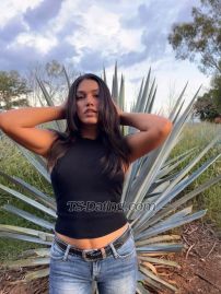 TS Ana Paulin Jalisco Transex Soy Una Linda Y Bronceada Chica Dispuesta A Cumplir Tus Fantasías .
Cuento Con 1,72 cm de altura . Ojos cafés , un cuerpo delicioso y una piel suave y hermosa .
Mis tarifas no son negociables . $$$
cuento con venta de contenido muy caliente 🔥 Y videollamadas muy hot . Llámame ! O envíame un mensaje directo de whatzapp Y te brindaré más información sobre mis servicios.
