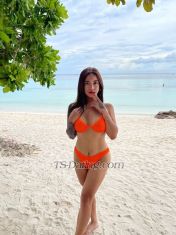 TSBunnyLexi Okinawa Transex ‼️ TELEGRAM : TsBunnyLexi ‼️‼️ WECHAT :
LexiSoGood ‼️‼️ TS LEXI @ YOUR SERVICE
‼️‼️ TIME PASSER AUTOMATIC BLOCK
‼️Hot, Fresh, Clean, Pretty, Genuine n Classy.
 I can be TOP/BOTTOM Offer the best service you've been
longing and waiting for.  A girl that have something in
between.Here is your chance to experience  something
truly amazing, something that you've dreamt about,  here
is your chance, to step into the magical world  that I
created for you and me.  The world where you can feel free
 to be truly yourself,  where you can leave behind
everyday life.Let me be your guide  to explore
wonder, pleasure,  and let me show you that you are
special.  Take my hand, and be my companion on this
special adventure,  an adventure that I'm sure  you'll
never forget.😘😘😘 SAFE SEX IS A MUST
😘😘😘‼️TIME PASSER AUTOMATIC BLOCK
‼️For More Requesting ( specially person not in my
town )Naked Photo , Playing Sex Videos , Cam Show
LiveNow Available Paying Worth iTPay
Through**PAYPAL
