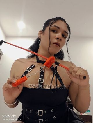 trans girl TSChandni 4366510 trans girl TSChandni 4366510