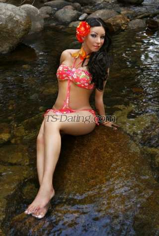 trans girl TSKIMBERLYTOP 6185134