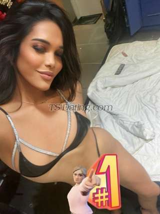 trans girl TSjamilah 3218314