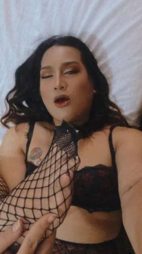 TSLOLLIPOP 6690951 TSLOLLIPOP 6690951