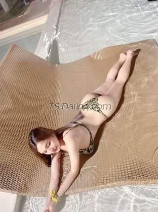 trans girl TSMaria 2404629