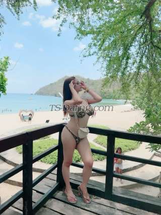 trans girl TSMaria 3540848