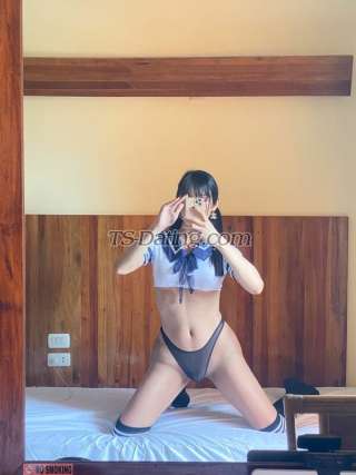 trans girl TSReina 5370404 trans girl TSReina 5370404