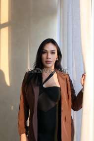 TSRihana Khobar Transex Transen. Hallo, ich bin Rihanna aus Thailand mehr oben ficken hart kann unten Willkommen, meine Dame und mein Herr jetzt✅ 24 Stunden ✅ Oben & unten mehr TOP Fick sehr hart Kann für dich kommen Paar, das ich mag 💦 Kann Swinger-Gruppensex haben Ganz besonders kann ich einem Paar (Mann und Frau) helfen, glücklich zu werden. 🔔Voller Systemservice für Sie 🤐alles ist vertraulich. 🛀ich habe ein sauberes Zimmer 💆💆🏼‍♂️ Sie können sich entspannen und eine kleine entspannende Massage 🤩Ich begrüße alle Geschlechter und Altersgruppen, unabhängig vom Geschlecht. Und respektiere jeden. Ich probiere gerne neue und andere Dinge aus. Wir können lernen, sag mir, was du willst