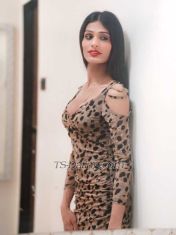 TS Romma Ahmedabad Transex Hye everyone 💛

TS ROMMA 🎀

I'm a cute and hotness & passion fulled versatile shemale from I'll give you a memorable pleasure time that u dream of..
I have huge active tool with delicious cute boobs with a combination of perfect feminine figure of your dreams..
And I am maintain my hygiene very well.

I give services like girlfriend experience, wife experience 
Hard punishment, bdsm, foot fasting, ball breasting everything & whatever u dream etc..
Cock size - 7.8 inch 
Boobs size- 36B 
Also video services and Audio services available.
What are you waiting for.. come to me & fullfill all your dark fantasies..
Call me 

Top shemale 23 young TRANSSEXUAL FOR MEN, WOMEN ND COUPLE ALSO
💫BDSM 
💫BODY MASSAGE 
💫ORAL ANAL 
💫DOMINATION 
💫FEMDOM
💫CLIENT FEMINIZATION 
💫ROLEPLAY
💫GIRLFRIEND EXPERIENCE 
💫U WANT TO BECOME MY SLAVE
💫READY TO BE AS UR MASTER

very TALK ACTIVE n decent elite fig to satisfy u X fantasy 
❤️. Staying alone with hygiene elite decent place
❤️. Wonderful environment to have fun 
❤️. U can fuck me until get satisfied 
❤️. Do you want fuck from shemale in cross dress?
❤️. Use my CD dress

YES COUPLE FUN AVAILABLE 
NOTE : Don't do unwanted chat

😈 TWITTER ACCOUNT- https://x.com/RomanShemale_69

 
💫 MY SEX VIDEOS AVAILABLE 

TIME PASSER FK URSELF

