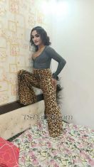 TSShilpa Delhi Transex I'm SHIPLA
I'm very genuine and I like genuine person I give nude video call service n I have BIG DICK AND Outcall also available if u r interested so don't be late catch me first
Hii..guys👋
video session available 🤪🤪🤪🤪🤪🤪🤪

A very strict mistress...
Charges depends on services....
strating from 5k for a session one shot
Provided services...

1. BDSM session
2. Rrole play
3. CD session
4. Strict mistress
5. Slave session
6. And the services According to clients need are also provided...
Do contact me for a special hardcore BDSM session...

If the price has been entered, please message only after checking the price. please don't waste your & mine time..

NOTE.. strictly for gentlemen👌, high class,🧍‍♂️elite people who can afford me, only genuine people contact Me ...I'm Big Surprise for u my horny beloved..I will give you 100% satisfaction..

Thank You .