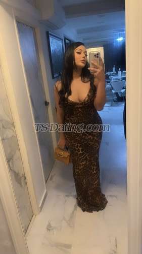 trans girl TSTASHA 9445136