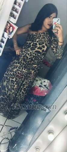 trans girl TSTayraAnge 8534100