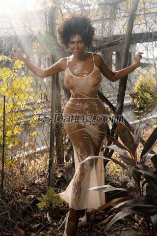 trans girl TSWandaSue 6012123