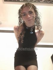 TS Winter aus Perth Wa Transex Heyy :3 Winter here, glad you found me xx
I'm your toned sexy tgirl ready to bring your
fantasies tolife. One thing
about me is I'm a huge switch, so whether you're looking to
top, bottom, or both ;) I'm down to explore whatever you're
looking for. I'm 5'10', six inches, and
cum like a firehose ;) Ask me about my
online services, I love sexting and showing off on video
calls ;) I also love bringing fantasies
to life with my amazing friends in the industry. Feel free
to ask me about double bookings ^-^
CONTACT ME VIA TEXT: 0468 488 183 PLEASE
INCLUDE-Name -Time & date of
booking-Length of booking-Incall,
outcall, or online services-Type of service (top
or bottom)-Any extras
**Messages in this format will be prioritised and
will be responded to promptly**  **'By
appointment' days and outcalls require at least one day's
notice and a deposit** Can't wait to
hear from you xx