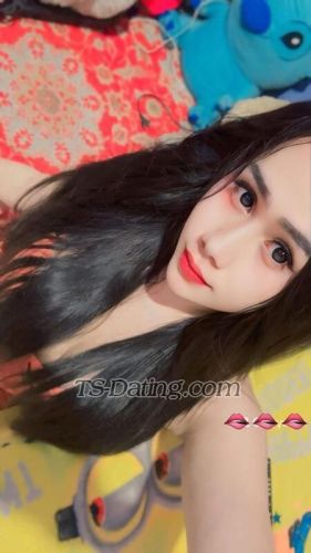 trans girl TSZARA 5398101 trans girl TSZARA 5398101