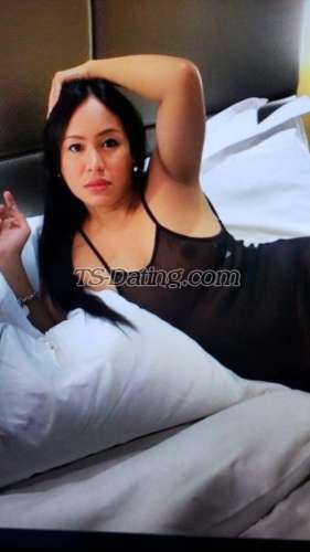 trans girl TSbibimba 8293387