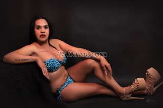 trans girl TSblocksexy 0796115 trans girl TSblocksexy 0796115