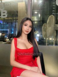 TScoco444 Seoul Transex I’m glad I’ve caught your attention,
My name is Coco, and I’m ready for some fun with the men 

I am a beautiful Thai ladyboy, with D cup breasts just waiting for you to play 
with. I am very versatile as both a TOP and BOTTOM. 

I have beautiful long black hair, size 8 body always ready for you in beautiful lingerie.

My service includes;
- Tantalising blowjob
- Blowjob on me
- Anal on me
- Anal on you
- Cum twice for hour bookings
- Mutual masturbation
- Sex with multiple positions 
- Hand relief
- Rimming (receiving only)
- Relaxation Massage

I am perfect for a first timer or someone curious, but also love a man who knows what and how he wants it too. 

I look forward to meeting you, please note these photos are my own, I am 100% genuine. I work independently and have my own incall for you to come visit.

For both our safety all services are protected. For your convenience I provide everything necessary.

Overnight rates are available please contact me for details. 

Don’t let me be the one that got away!! 

WhatsApp +82 10-4239-8999
Telegram  +82 10-4239-8999

If texting please use the following template:

Hi Coco
My name is 
I am wanting to book on 
For 
Are you available? Thanks 

This will help make things seamless and help secure your booking first.

Thank you 